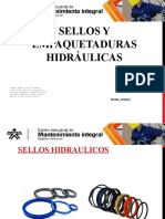 Sellos y Empaquetaduras Hidráulicas