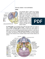 agujerosdelcraneoysuscontenidos-150412185109-conversion-gate01.pdf