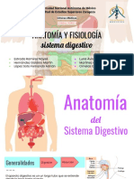 Anatomía y Fisiología Del S. Digestivo Presentacion