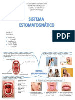 Mapa Mental Histologia