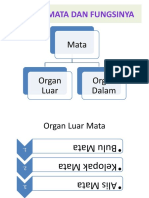 Bagian Mata Dan Fungsinya