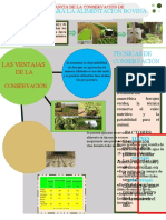 Infografia Importancia de Conservación de Forrajes