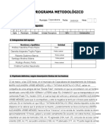 Programa Metodologico (Ultima Actualizacion)