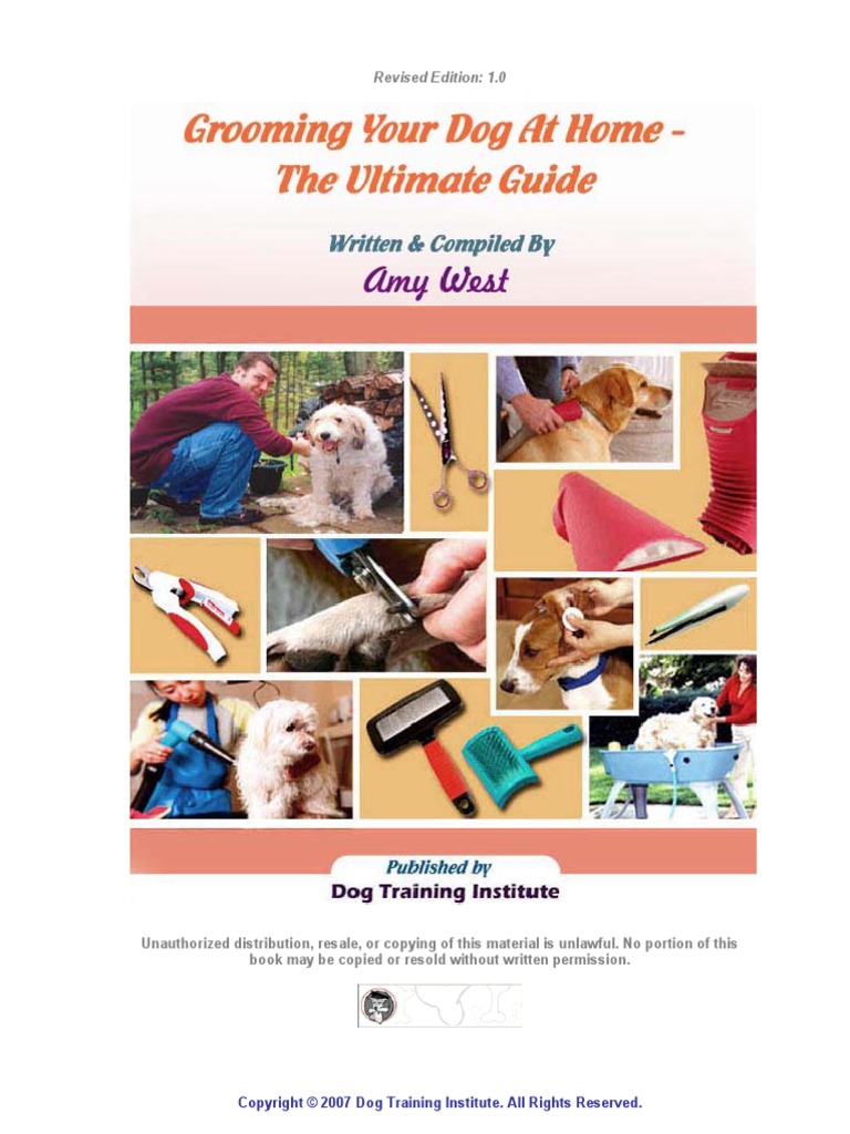 Groomingyourdogathome Theultimateguide PDF | PDF | Shampoo | Dogs