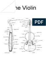 The Violin