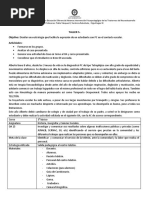 Guía de Actividades Inclusivas para NEE | PDF | Relaciones personales ...