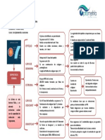 Capas de La Córnea PDF