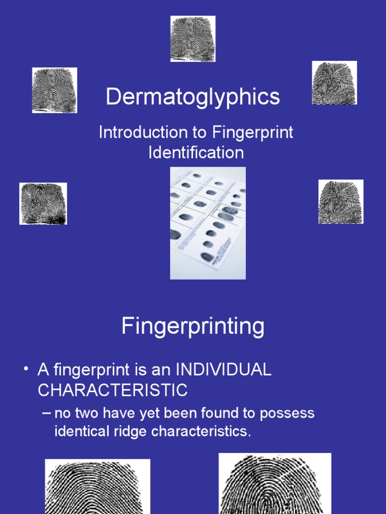 Dermatoglyphics Introduction To Fingerprint Identification PDF Fingerprint Skin