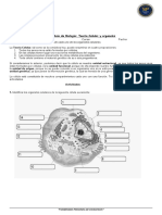 Guía de Biología - Teoría Celular y Organelos Nombre - Curso - Fecha
