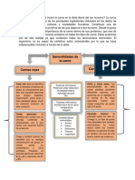 Generalidades de La Carne PDF