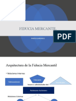 Fiducia mercantil: particularidades y efectos