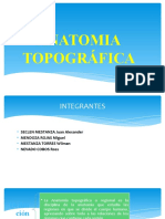 310413118-Anatomia-Topografica-5-Ciclo.pptx
