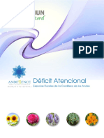 10 Archivo-Deficit Atencional