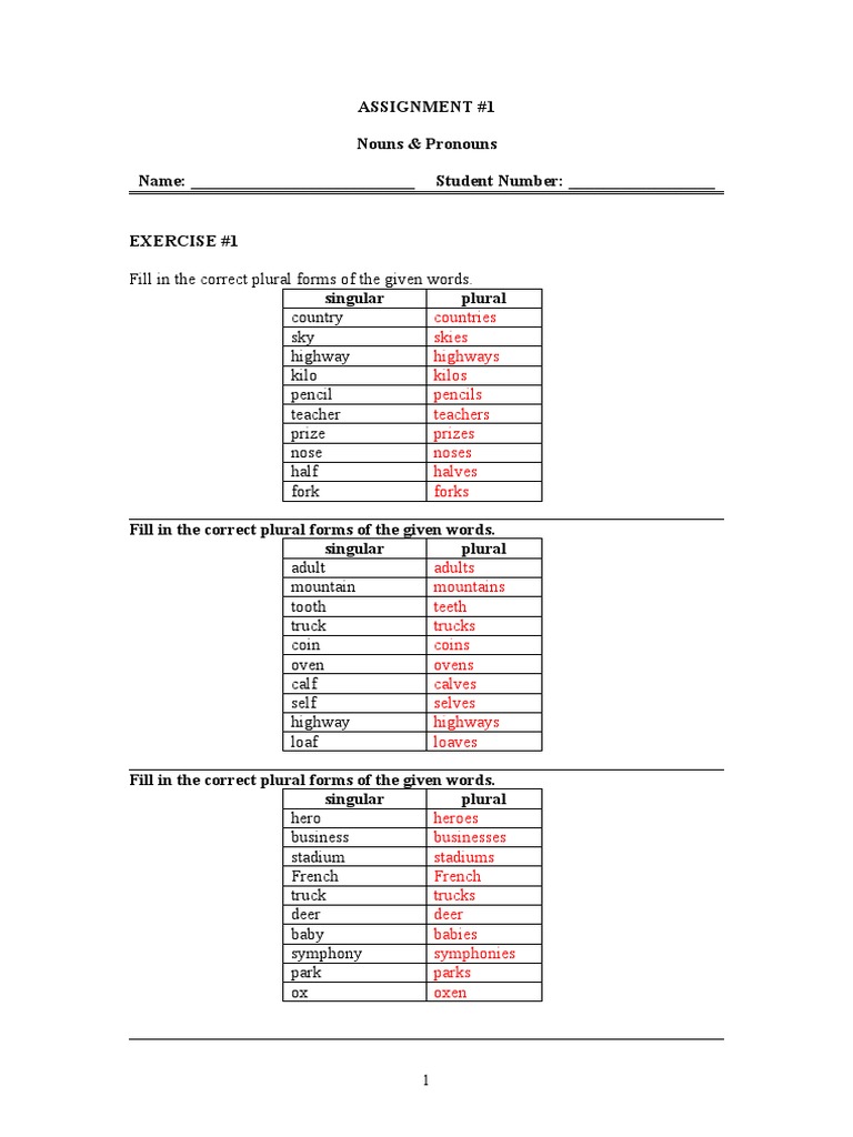 Nouns Pronouns With Answers Noun Plural