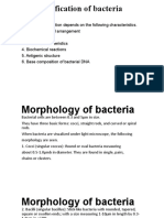 Classification of Bacteria