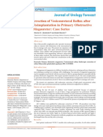Juf V1 E1 1001 PDF