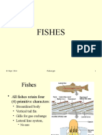 02 Sept. 2014 Fishes - PPT 1