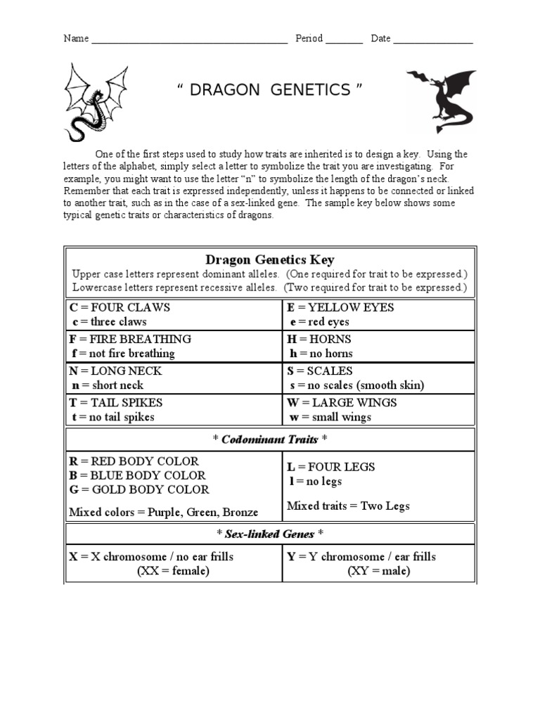 worksheet Dragon Genetics Worksheet dragon genetics worksheet phenotypic trait dominance genetics