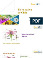 Clase 14.05- Polinazación.pptx