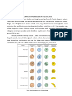 Splenomegali Pada Malaria Plasmodium Falciparum