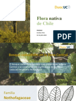 Clase 09.07- Flora nativa del sur de Chile.pptx