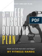 5 Week Workout Plan