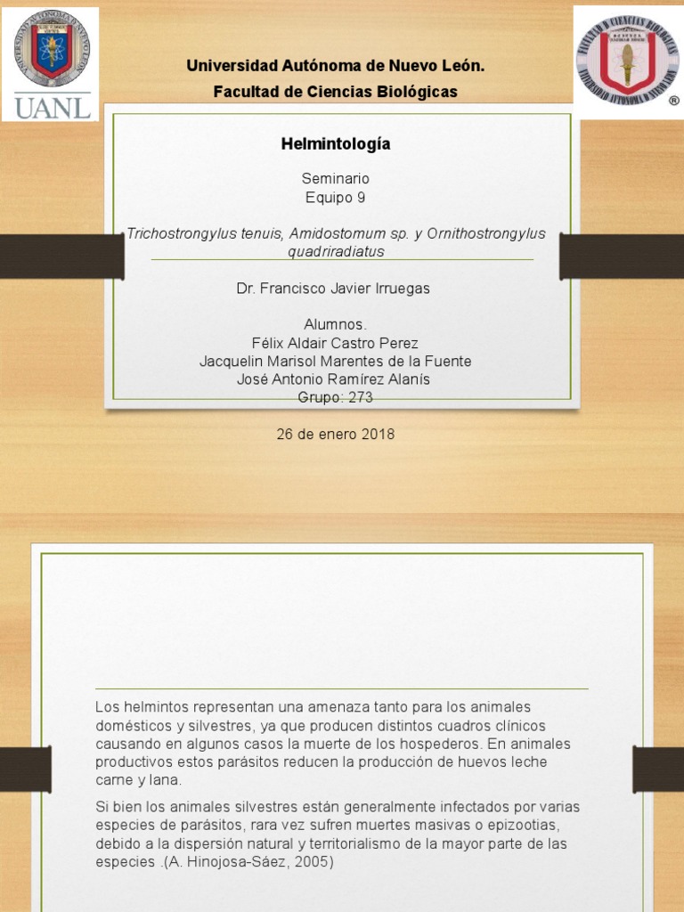 Helmintologia PDF Nematodo Aves