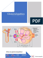 Lecture 7.8.9 - Glomerulopathies (Including Nephritic, Nephrotic, Minimal Change, Focal Segmental Glomerulosclerosis and Membrane Nephropathy)