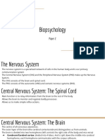 Paper 2: Biopsychology