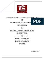 BRIDGE SOLUTIONS PVT LTD 12