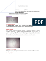 TALLER SISTEMA NERVIOSO-liz