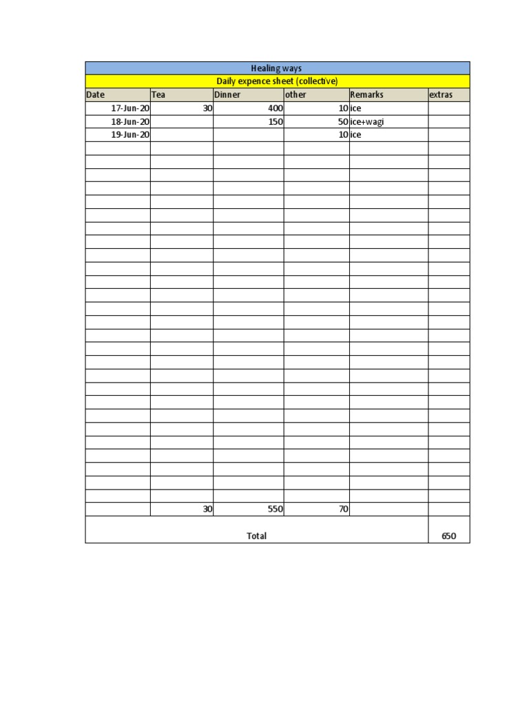 Daily Expense Sheet Summary | PDF
