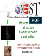 Biomass_Stirling.pdf