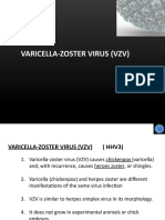 Varicella Zoster Virus
