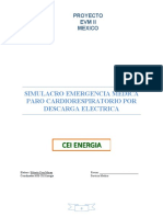 Simulacro de PCR por descarga eléctrica