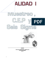 Manual Calidad I PDF