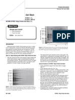 SYPRO® Ruby Protein Gel Stain Instruction Manual (Invitrogen)