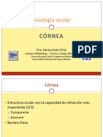 cornea...pdf