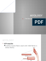 Muscle Physiology and Oral Functions