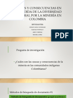 Causas y Consecuencias en La Pérdida de La Biodiversidad Cultural Por La Minería en Colombia