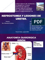 Tema 4. Nefrostomia y Lesiones de Ureter