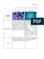 Examen Final Formato Entrega Microbiologia