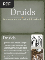 Druids: Presentation by Anton Linok & Gleb Mackevich