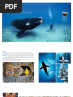 Brian Skerry