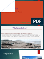 Pollution: Presented By-Bishesh Pandit