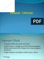 Demam Tiphoid