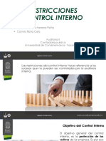 Restricciones Del C. I PDF