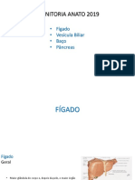 19.09.11 - Aula 13 - Fígado, Vesícula, Pâncreas, Baço