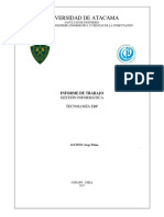 G.I ERP PDF