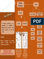 Sistema Periferico